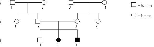 albinisme-type-OCA-1
